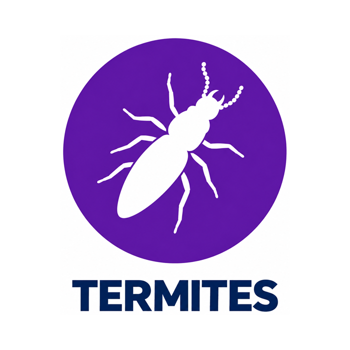 Termites